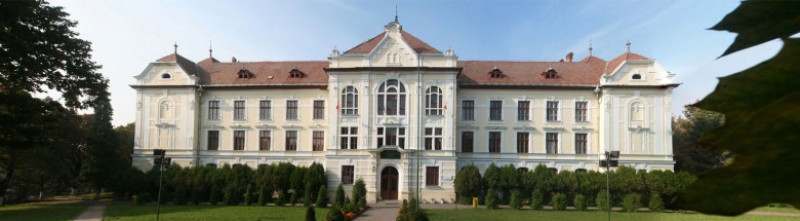 colegiul national unirea tg mures
