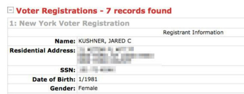 kushner foto mashable