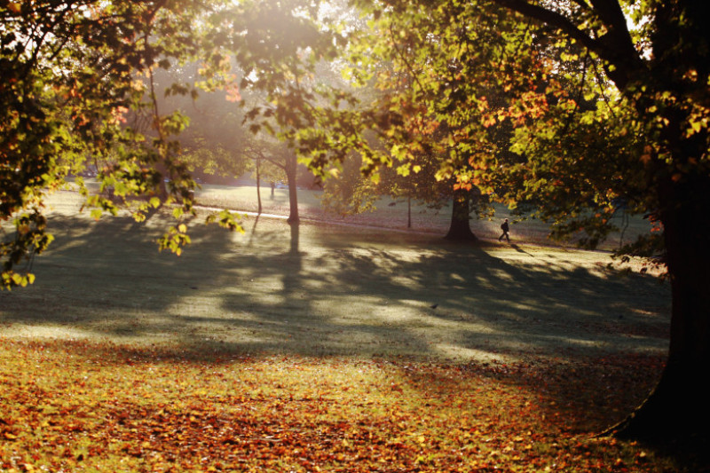 Autumn Colours Throughout The UK
