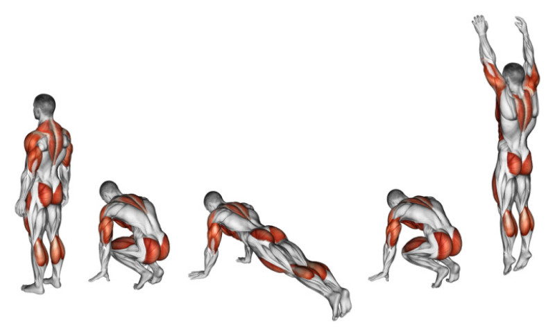 burpee-Alexander-Makatserchyk