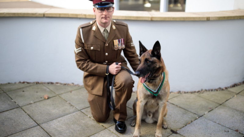 Animal Victoria Cross For Hero War Dog