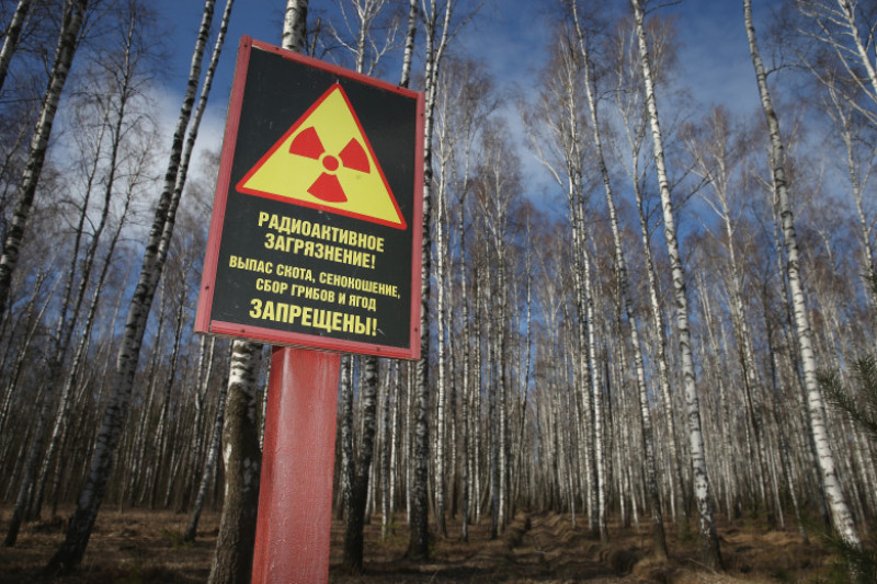 30 Years Since Chernobyl Contamination Remains A Silent Threat