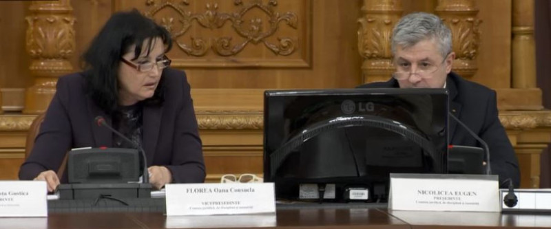 steluta cataniciu si florin iordache