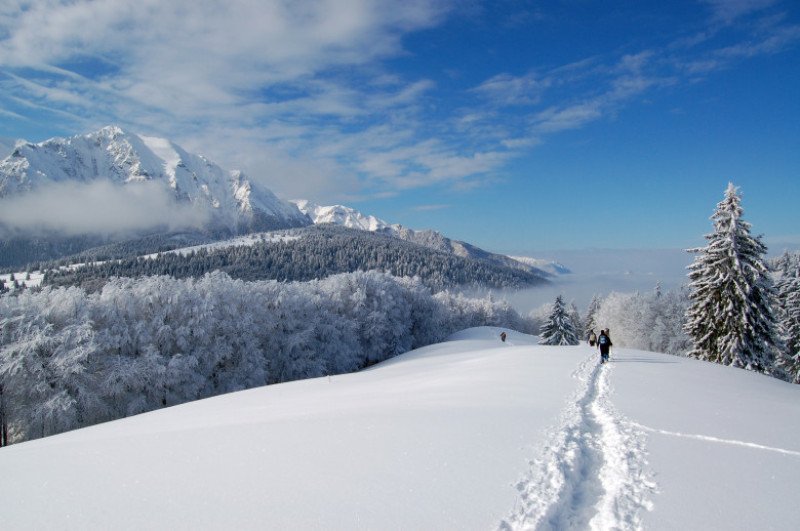 iarna muntii bucegi_shutterstock_22323085