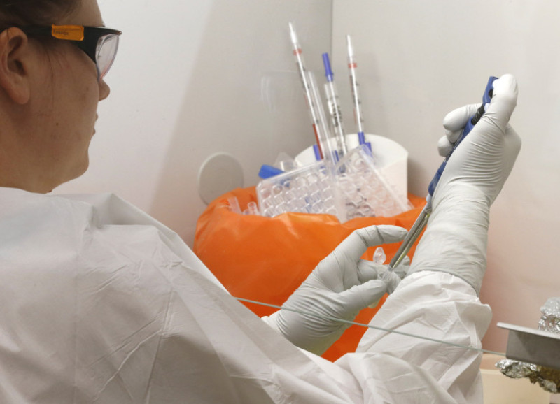 University of Utah Researchers Work Toward Cure For Ebola Strains