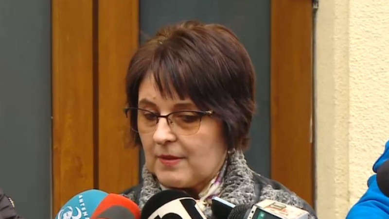 maria vasii avocat dragnea