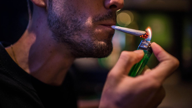 Cannabis Clubs Boom In Barcelona