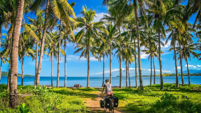 jungla indonezia