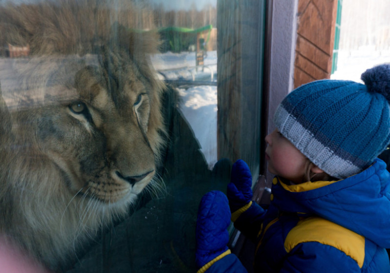 O Mamă și Cei Trei Copii Ai Săi Uitați In Grădina Zoologică Din