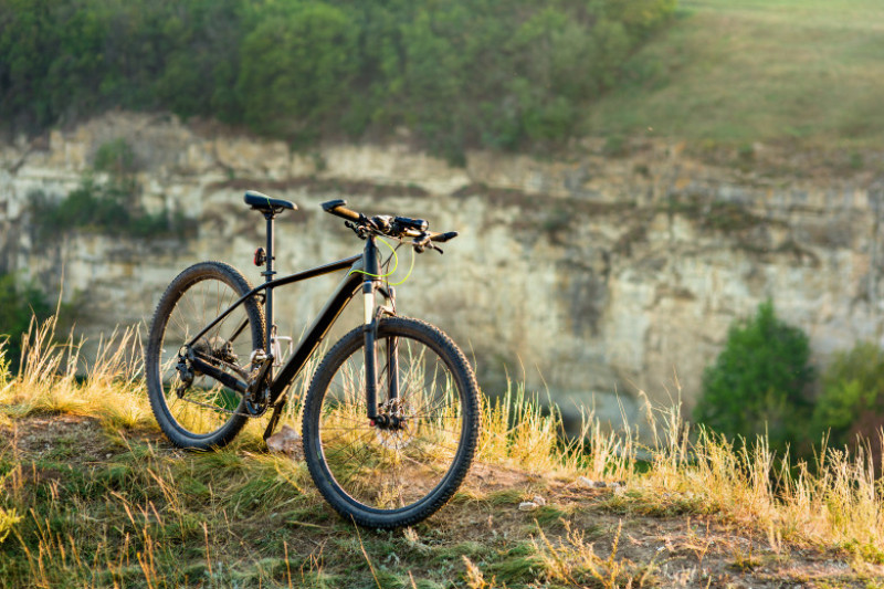 bicicleta la munte