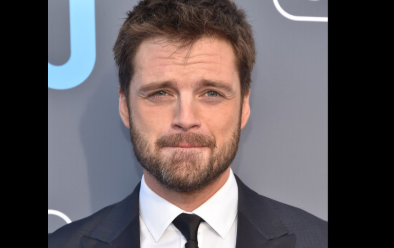 sebastian stan shutterstock