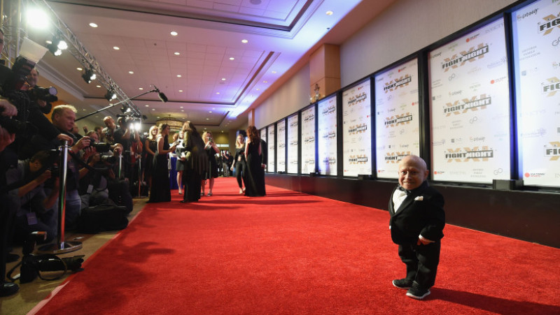 Muhammad Ali's Celebrity Fight Night XXI - Red Carpet