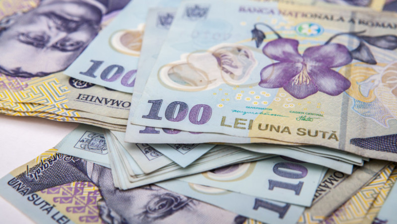 bancnote 100 de lei bani_shutterstock_431687935