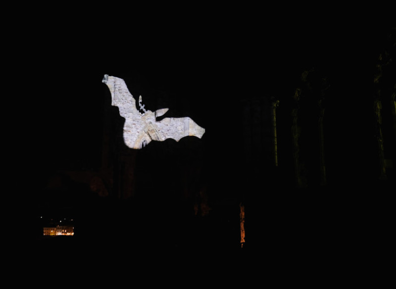 Whitby Abbey Illuminated In The Run-up To Halloween