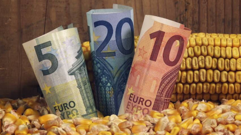 bani agricultura