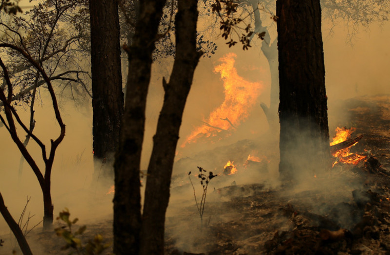 Massive Wildfire Spreads To 80,000 Acres, Scorches Homes Near Redding, CA