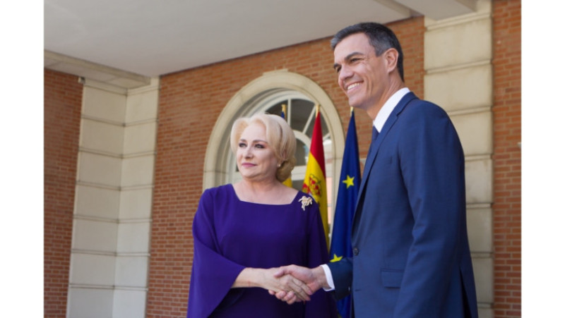 viorica guvern