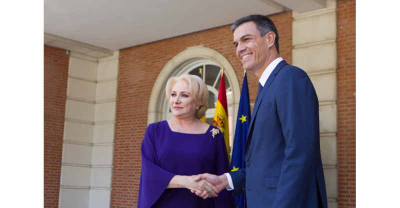 viorica guvern