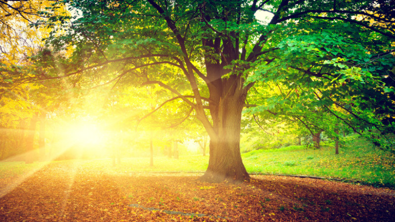 meteo vremea soare toamna verde shutterstock_139765534