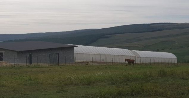 sera cannabis iasi