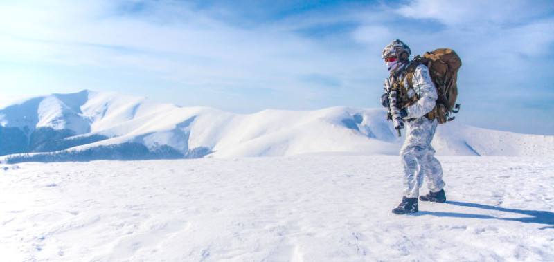 soldat arctica shutterstock_632064695