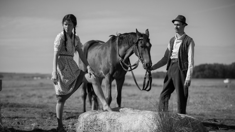 Morometii 2_still 2 (photo by Vlad Cioplea)
