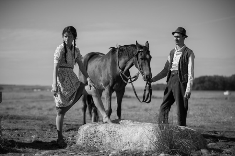 Morometii 2_still 2 (photo by Vlad Cioplea)