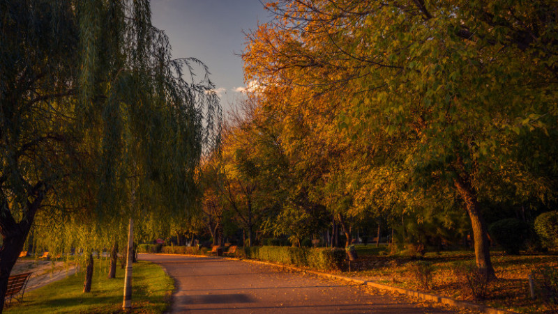 toamna vreme meteo parc frunze copaci