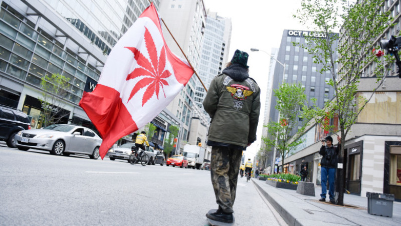 tanar skateboard steag canabis marijuana canada_shutterstock_1087424537