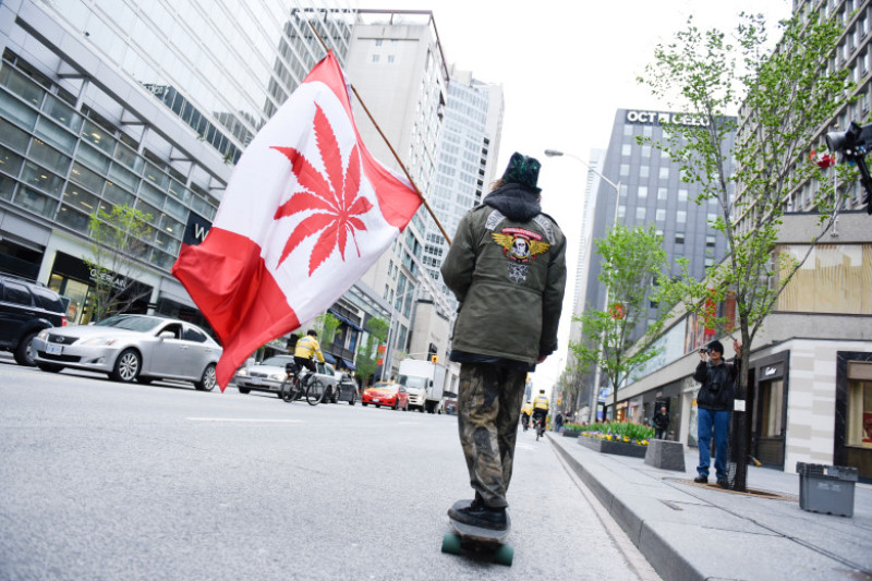 tanar skateboard steag canabis marijuana canada_shutterstock_1087424537
