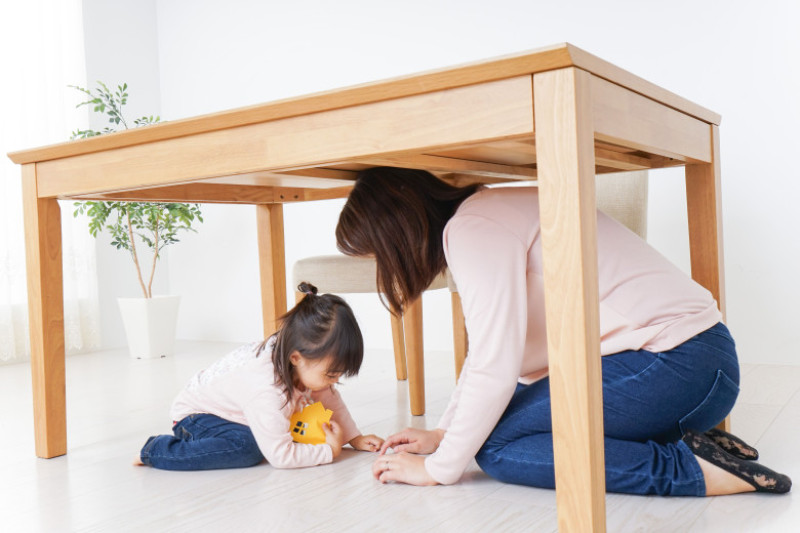 exercitiu cutremur shutterstock_751356547