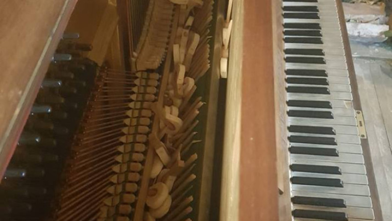 pianina-oradea-parcul-lalelelor