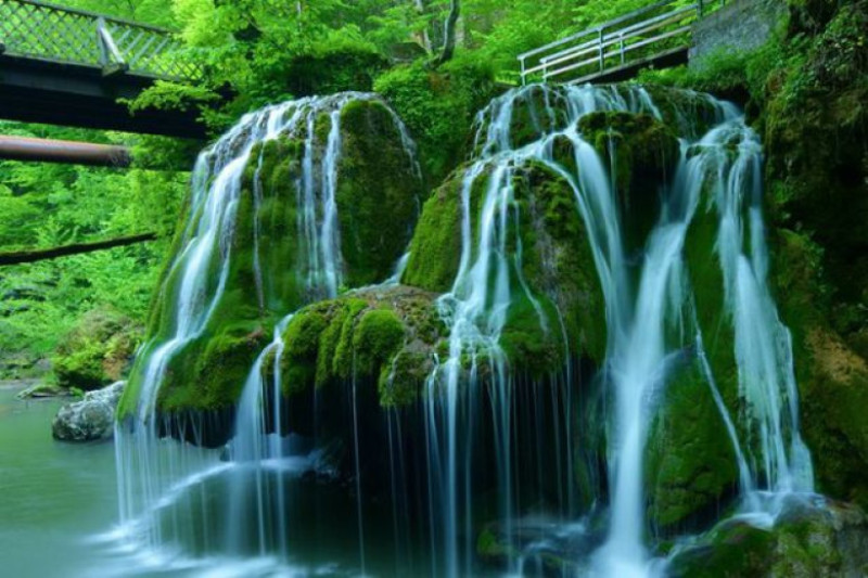 Cascada Bigăr In Pericol Din Cauza Defrișărilor Masive Avertismentul Grav Al Două Organizații De Mediu