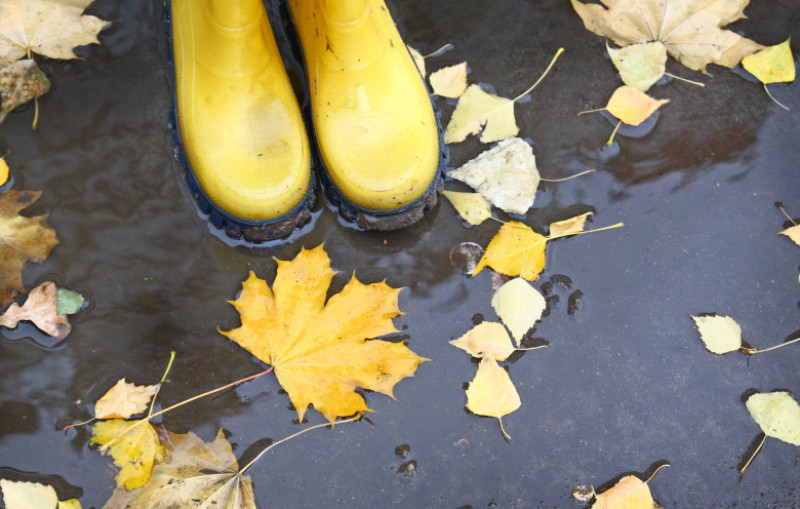 meteo vremea toamna ploaie cizme de cauciuc frunze shutterstock_160431968