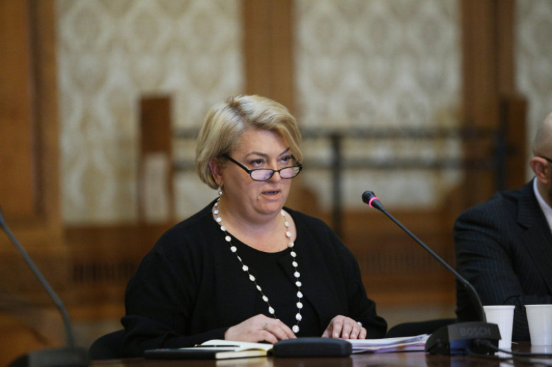 doina-gradea-parlament-inquamphotos-George Calin (2)