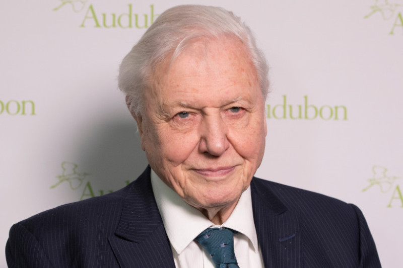 David Attenborough_shutterstock_1039038541