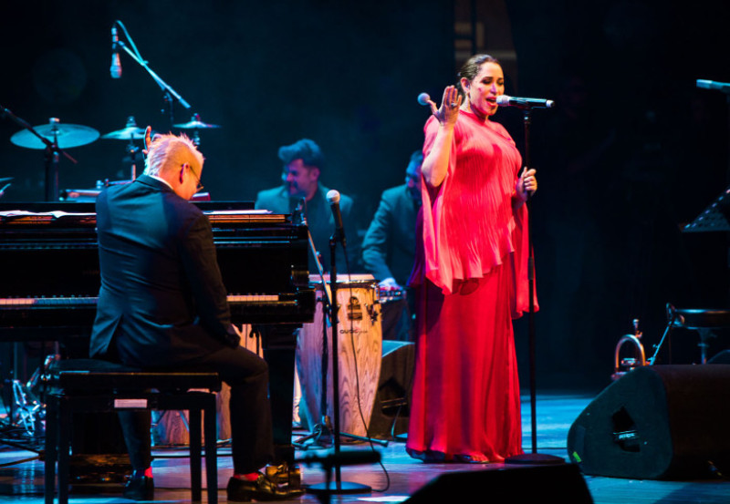 pink martini