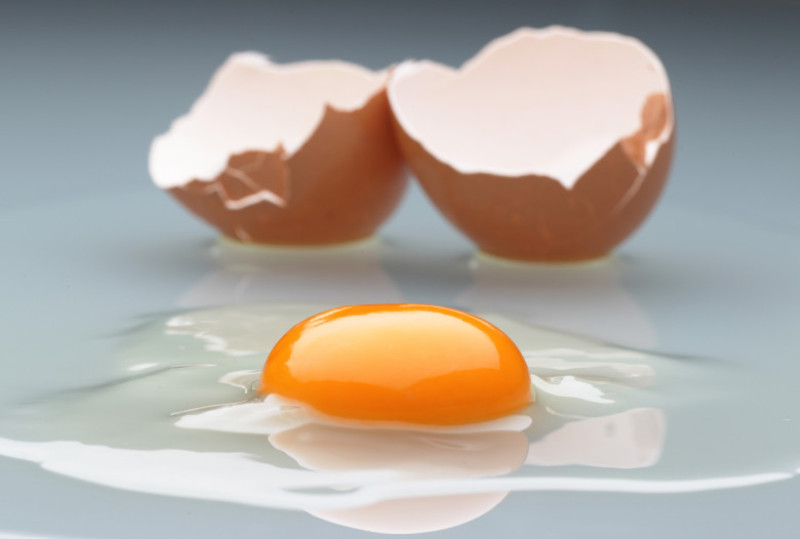 Poultry and Hog Farms Face Possible Dioxin Contamination