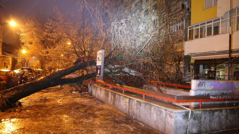 imagini isu polei 260119 (4)