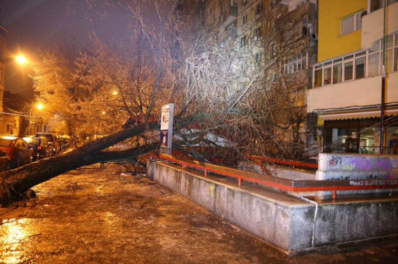 imagini isu polei 260119 (4)