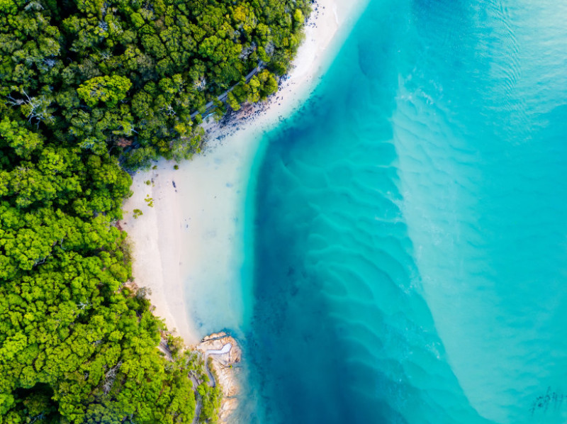 ocean