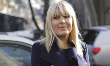 De ce sunt de acord judecătorii ca Elena Udrea să iasă din închisoare cu doi ani mai devreme