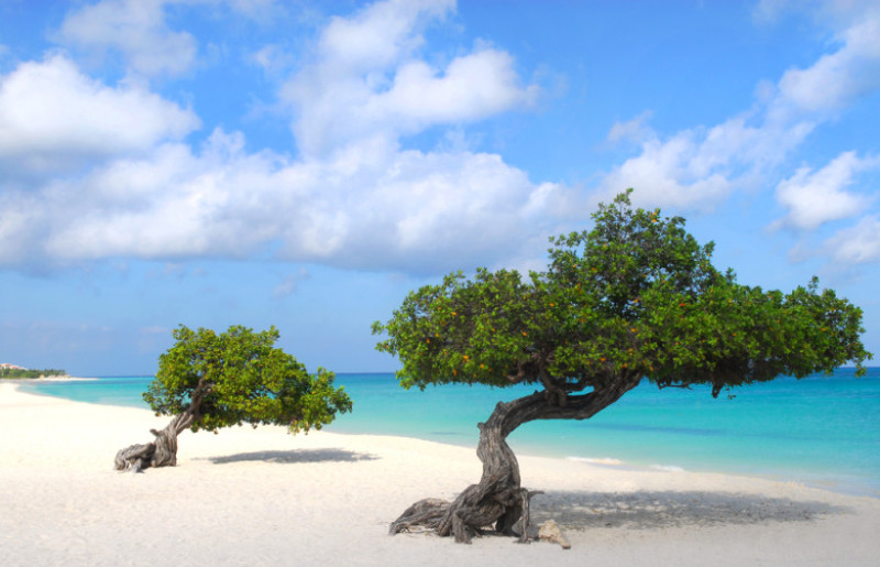 plaja, aruba