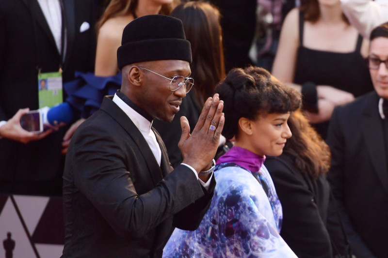 91st Annual Academy Awards - Fan Arrivals