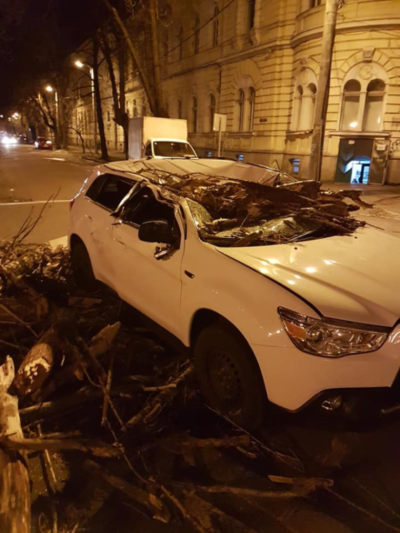 masina copac cazut Oradea