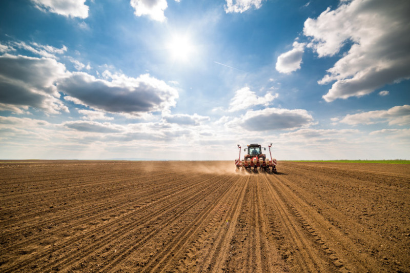 agricultura