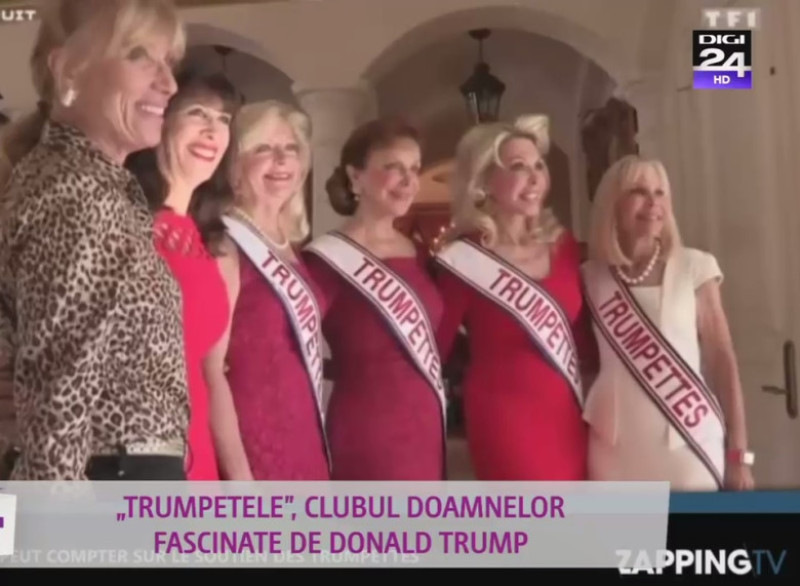 trumpetele