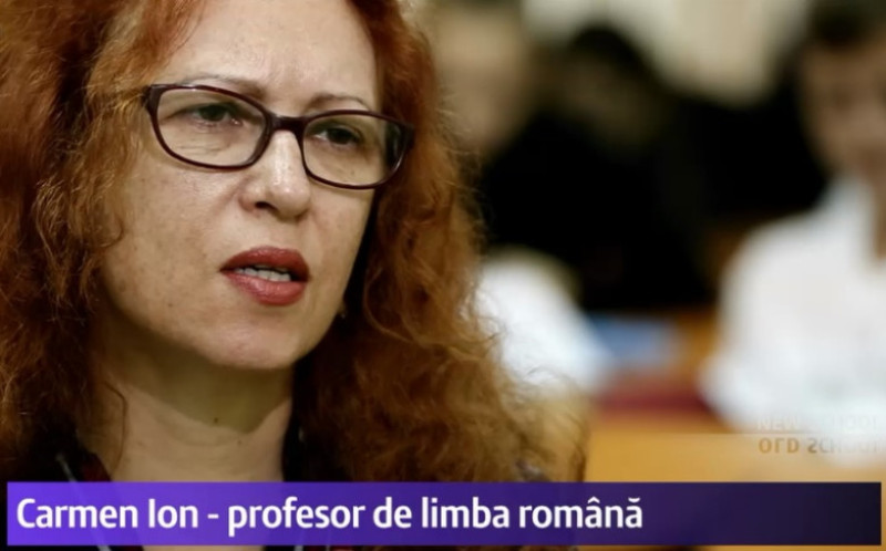 profesor carmen ion