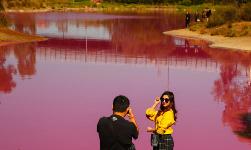 lac roz australia