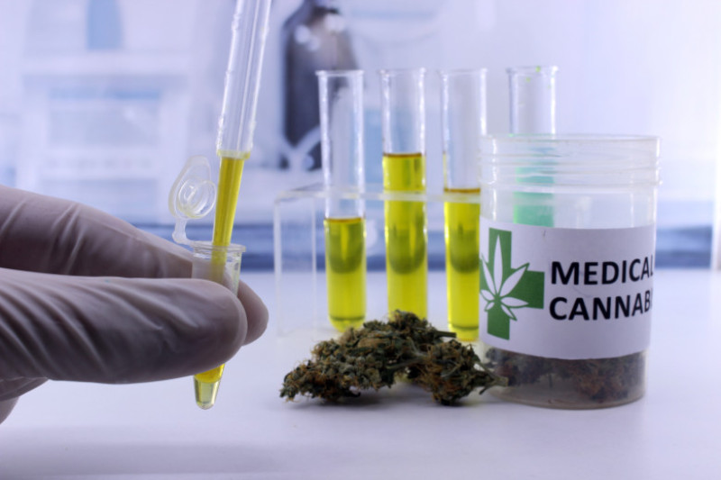 canabis-medical-marijuana-shutterstock_765940930